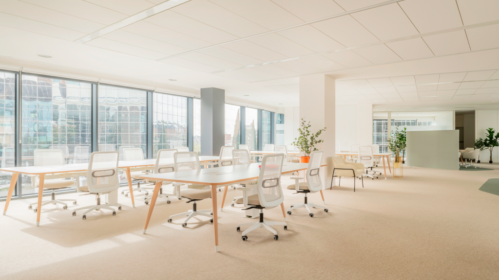 Arquitectura, Oficinas, Ignis