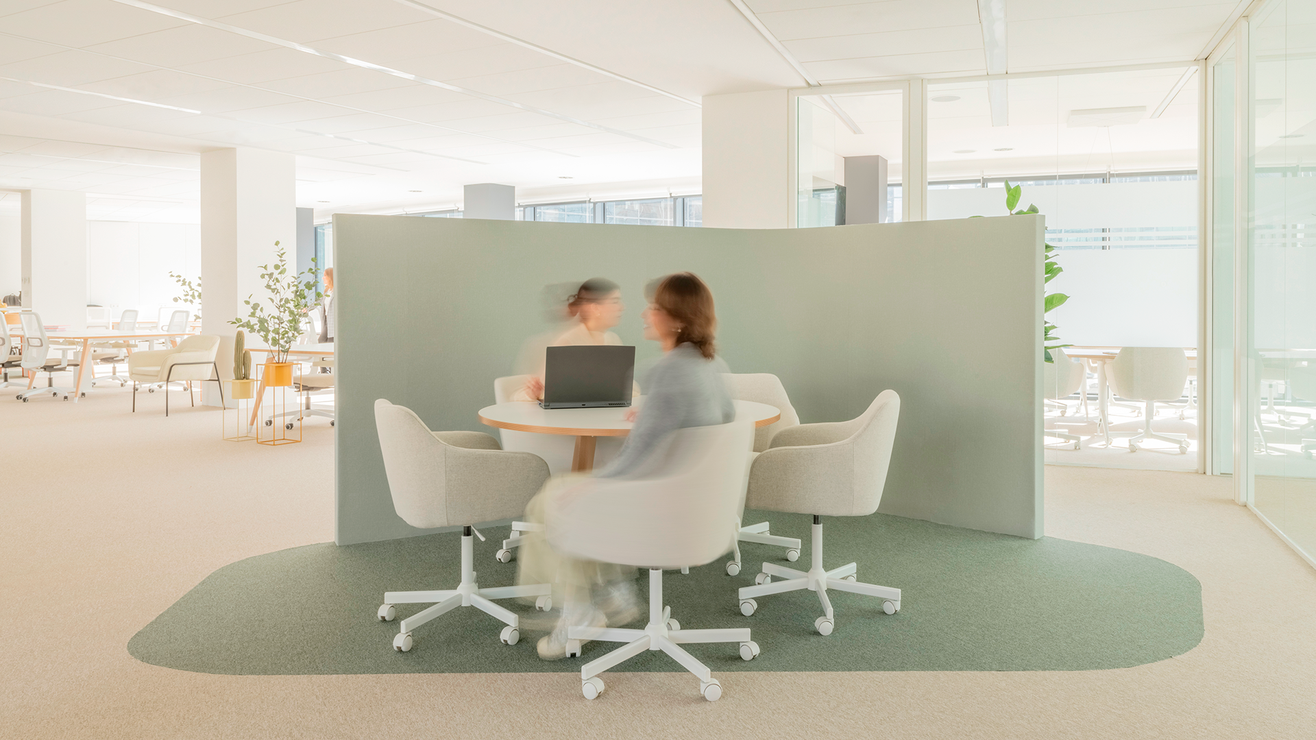 Arquitectura, Oficinas, Ignis