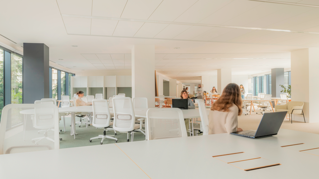 Arquitectura, Oficinas, Ignis