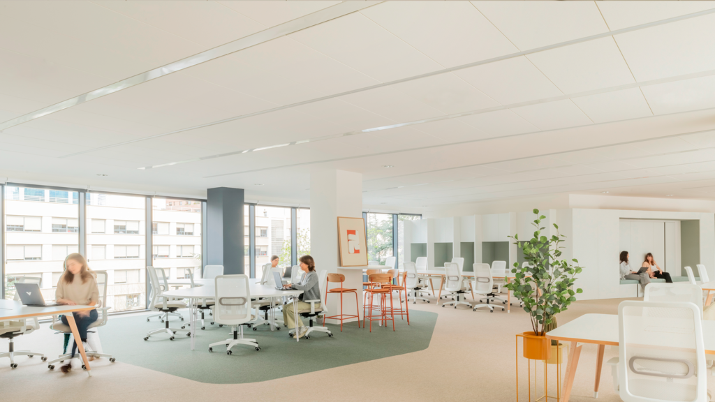 Arquitectura, Oficinas, Ignis