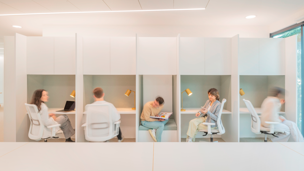 Arquitectura, Oficinas, Ignis